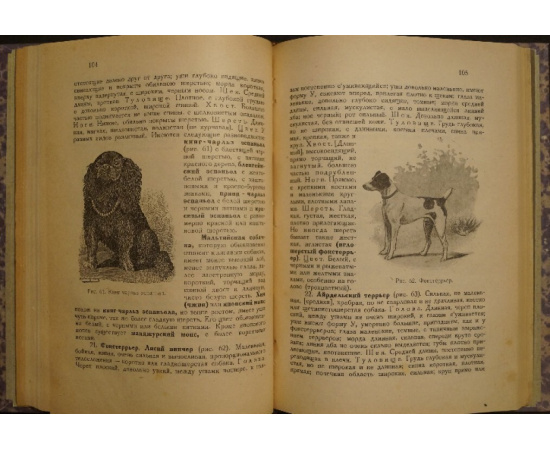 Мюллер Г., проф., д-р Кинологические труды. В 2-х кн.: Болезни собак: Краткое руководство. С 78 рисунками.  Здоровая собака (кинология): Происхо