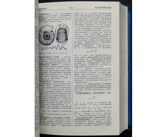 Словарь по геологии нефти.