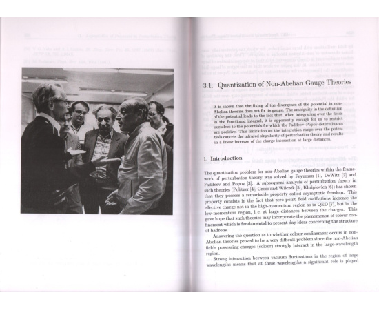 Gribov V.N. Gauge Theories and Quark Confinement/Калибровочные теории и удержание кварков.