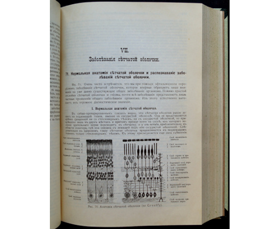 Romer Р. Руководство по глазным болезням в форме клинических лекций.