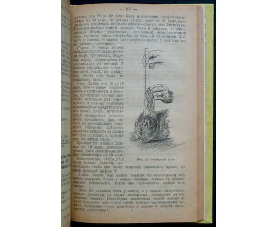 Голубицкий С.Е. Кролики. В двух частях