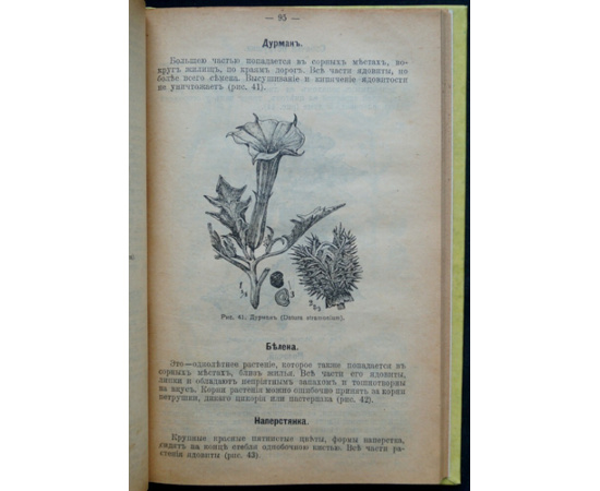Голубицкий С.Е. Кролики. В двух частях