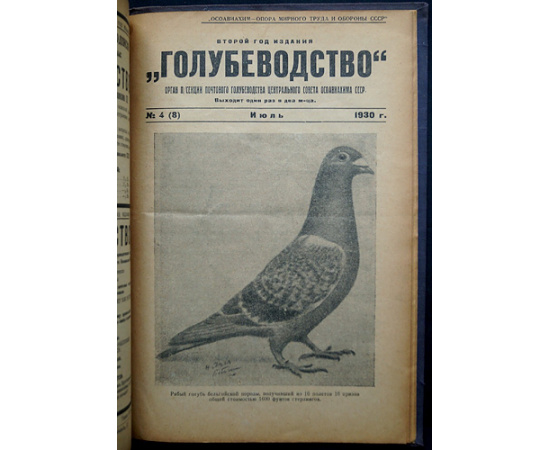 Голубеводство. Журнал: 10 номеров