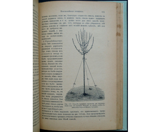 Воронов С.А. Промышленный плодовый сад: Практическое и общедоступное наставление к устройству и ведению плодового сада.