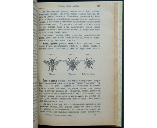 Бертран Эдуард. Уход за пасекою. Календарь пчеловода