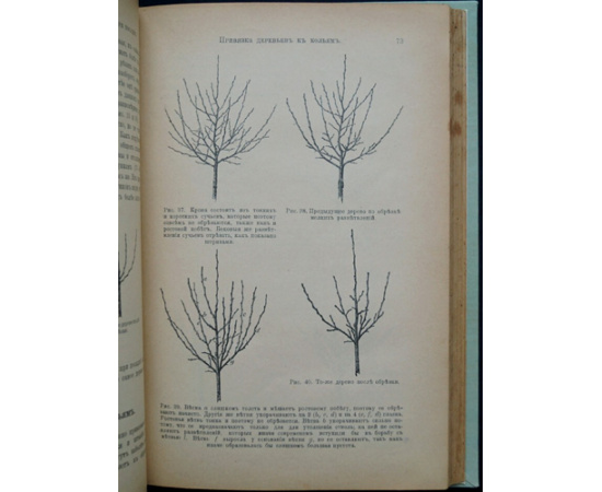 Воронов С.А. Промышленный плодовый сад: Практическое и общедоступное наставление к устройству и ведению плодового сада.