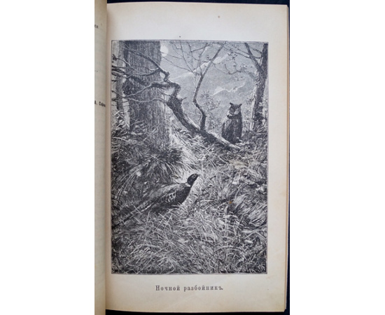 Природа и Охота. 1892. № 8. Август