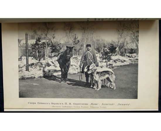 Природа и Охота. 1891. № 6. Июнь