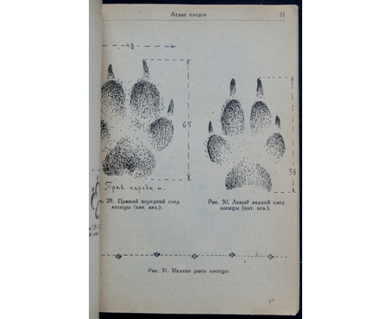 Формозов А.Н. Следы промысловых зверей и птиц Европейской части СССР, Сибири, Туркестана, Кавказа и Забайкалья с атласом