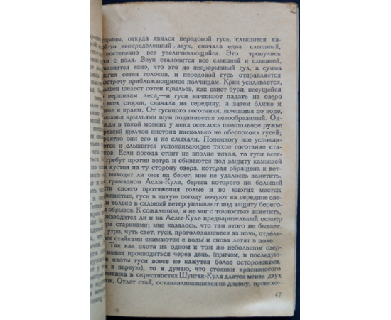 Каверзнев В.Н. Охота на гусей и лебедей.