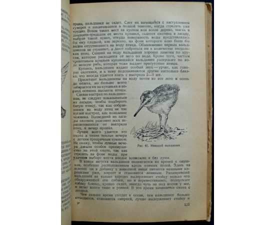 Каверзнев В.Н. Охота на пернатую дичь.