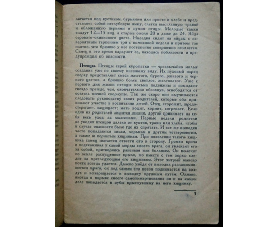 Петрункевич М. Охота на куропаток.
