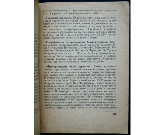 Петрункевич М. Охота на куропаток.