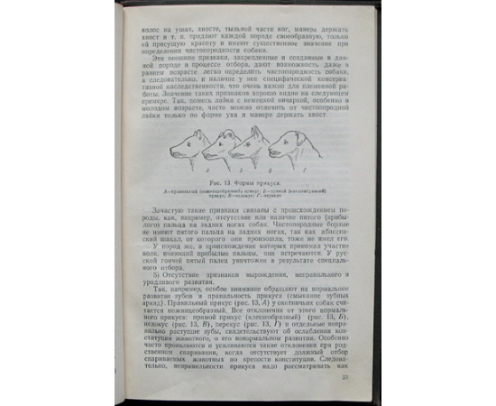 Шерешевский Э.И. Разведение охотничье-промысловых собак.