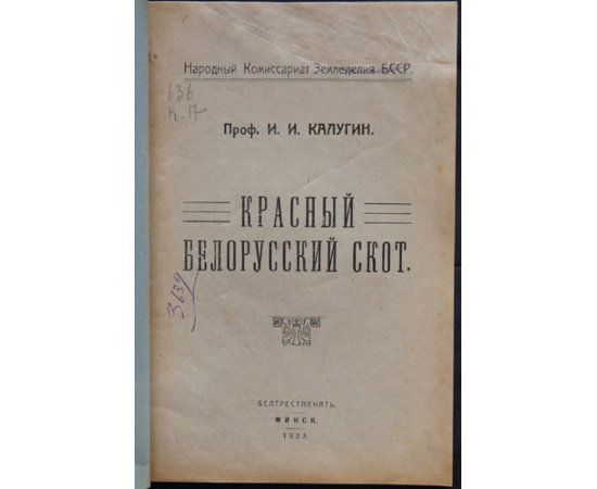 Калугин И.И., проф. Красный белорусский скот.