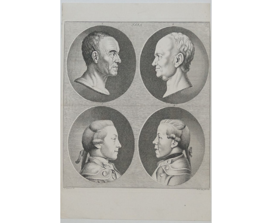 Сангвиники: Неподписанные мужские портреты.