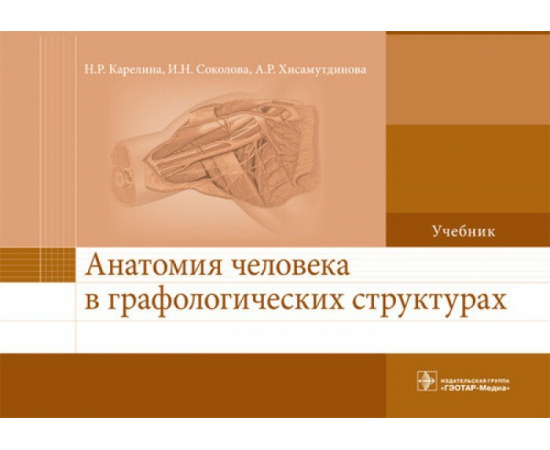 Карелина Н.Р., Соколова И.Н., Хисамутдинова А.Р. Анатомия человека в графологических структурах. Учебник