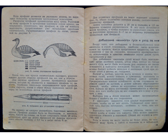 Постников А. Охота на гусей с профилями.