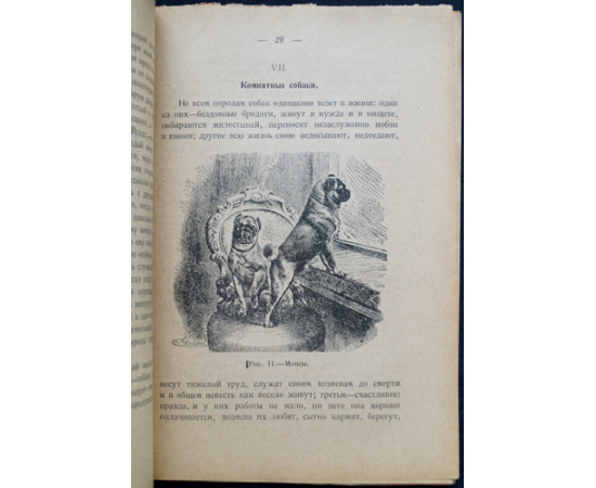 Лункевич В.В. Четвероногие слуги человека.