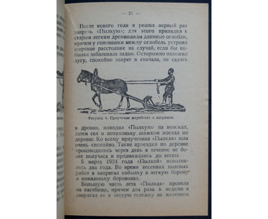 Непокойчицкий Г. Воспитание жеребенка.