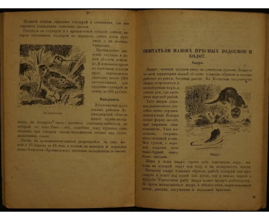 Фалькенштейн Б. Ю. Промыслово-охотничьи звери и птицы Ленинградской области и охота на них.