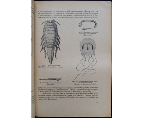 Книпович Н.М., проф. Каспийское море и его промыслы.