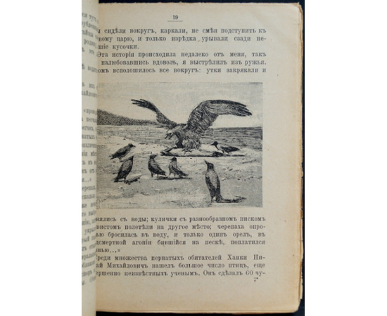 Сно Ев. Жизнь и путешествия Николая Михайловича Пржевальского.