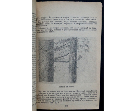 Каверзнев В.Н. Белка и беличий промысел.