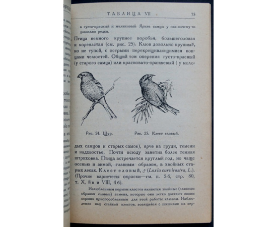 Промптов А.Н. Определитель птиц в природе.