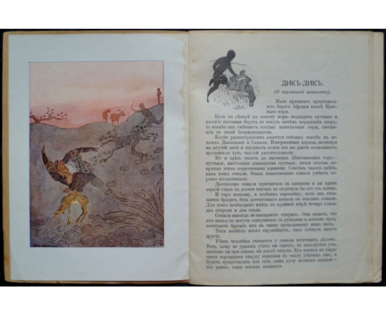 Чеглок А. Звери Центральной и Южной Африки: Дик-Дик.