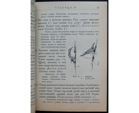 Промптов А.Н. Определитель птиц в природе.