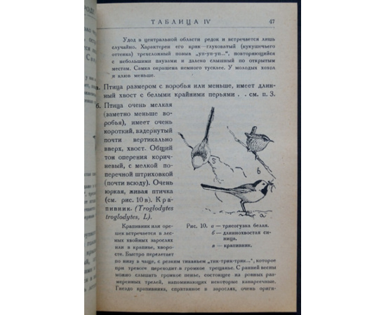 Промптов А.Н. Определитель птиц в природе.